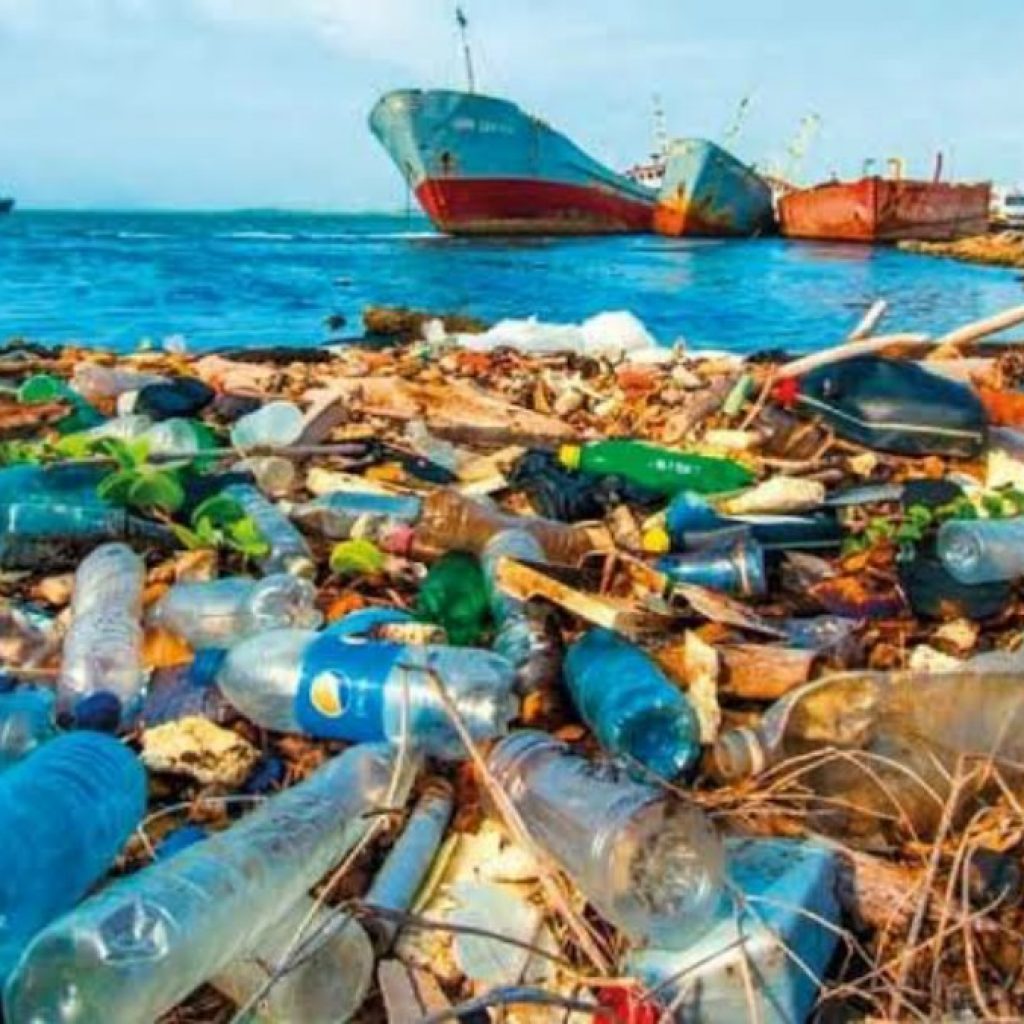 Researchers develop new virtual tool to track marine litter Here’s all